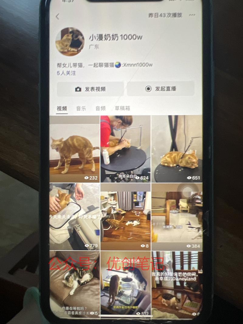 从报名了优创圈，开始尝试起…#情报-搞钱线报📢论坛-网创交流-优创圈